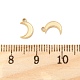 Подвески из нержавеющей стали 304 STAS-L022-546G-3