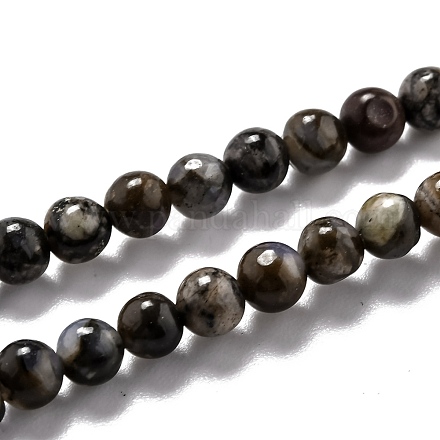 Бусины из натурального глаукофана G-O199-01A-1