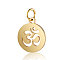 Chakra Theme 304 Stainless Steel Pendants, with Jump Ring, Flat Round with Ohm/Aum, Golden, 1.7x1.2cm