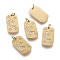 316 Surgical Stainless Steel Micro Pave Clear Cubic Zirconia Pendants, Oval with Moon and Star, Golden, 15x8.5x1.3mm, Hole: 2.8mm, jump ring: 4x0.6mm