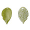 Plastic Charms, Leaf, Olive, 15x8x1.5mm, Hole: 1mm