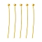 Brass Ball Head Pins, Cadmium Free & Lead Free, Golden, 25x0.5mm, 24 Gauge, Head: 2mm, about 9350pcs/bag