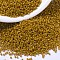 MIYUKI Delica Beads, Cylinder, Japanese Seed Beads, 11/0, (DB2106) Duracoat Dyed Opaque Hawthorne, 1.3x1.6mm, Hole: 0.8mm, about 2000pcs/10g