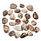 Natural Picture Jasper Beads, Tumbled Stone, Healing Stones for Chakras Balancing, Crystal Therapy, Meditation, Reiki, Divination Stone, No Hole/Undrilled, Nuggets with Runes/Futhark/Futhorc, 14~33x11~22x5~16mm, about 25pcs/set