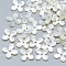 Natural White Shell Beads, Mother of Pearl Shell Beads, Flower, 6x6x1mm, Hole: 0.8mm