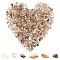 Natural Rutilated Quartz Chip Beads, 5~8x5~8mm, Hole: 1mm, about 400pcs/box