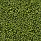 Выпечка краска стеклянные бусины SEED-S001-K9-2