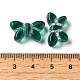 Прозрачные бусины лэмпворк LAMP-P065-02A-15-3