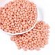 Выпечка краска стеклянные бусины SEED-T007-15G-3