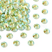 Preciosa® maxima crystal без горячей фиксации плоские камни Y-PRC-NSS12-50540-200