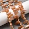 Natural Sunstone Beads Strands, Nuggets, Top Drilled, Tumbled Stone, with Seed Beads , 9.5~20x4~9x4.5~6mm, Hole: 1mm, about 49~60pcs/strand, 14.96''~16.14''(38~41cm)
