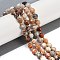Natural Fossil Coral Beads Strands, Faceted, Bicone, Double Terminated Point Prism Beads, 8x7mm, Hole: 1.2mm, about 40pcs/strand, 15.16''(38.5cm)