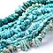 Natural Magnesite Bead Strands, Dyed & Heated, Mixed Shapes, Dark Turquoise, 5~30x9~15x4~9mm, Hole: 1mm, about 40~101pcs/strand, 15.9 inch