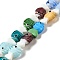 Handmade Lampwork Beads Strands, Fish, Colorful, 20~21x12~12.5x7.5~10.5mm, Hole: 1.2mm, about 20pcs/strand, 16.26 inch(41.3cm)