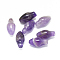 Natural Amethyst Pendants, Flower, 16.5~17.5x8~9mm, Hole: 0.8mm