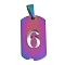 Ion Plating(IP) 304 Stainless Steel Pendants, Manual Polishing, Rectangle with Number, Rainbow Color, Num.6, 27.5x14.5x1.5mm, Hole: 3.5mm