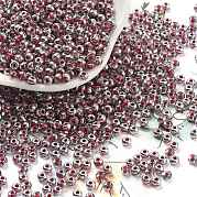 Внутри цвета стеклянные бусины SEED-A032-03G