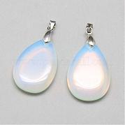 Opalite подвески G-T002-18