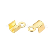 Железом мозг конец IFIN-T021-01G