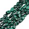 Natural Malachite Beads Strands, Nuggets, Tumbled Stone, 8~12x7~10x5.5~8mm, Hole: 0.5mm, about 43pcs/strand, 15.55 inch(39.5cm)