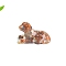 Resin Dog Display Decoration, with Natural Carnelian Chips inside Statues for Home Office Decorations, 48x30mm
