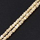 Нити бусин из натуральных трохоидных/трохус ракушек SSHEL-S266-023B-01-3