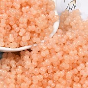 Стеклянные бусины прозрачных цветов SEED-R001-01G