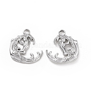 Подвеска из нержавеющей стали 304 STAS-C003-02P