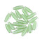 Transparent Colours Glass Seed Beads, Round Hole, Rice, Light Green, 10.5~11.5x3.5~4mm, Hole: 0.9~1mm, about 2780pcs/500g