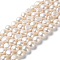 Natural Cultured Freshwater Pearl Beads Strands, Two Sides Polished, Grade 6A+, PapayaWhip, 9~12x7~8.5mm, Hole: 0.6mm, about 38pcs/strand, 14.57~14.76 inch(37~37.5cm)
