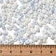 Выпечка краска стеклянные бусины SEED-F006-01A-02-4