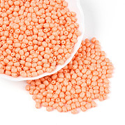 Выпечка краска стеклянные бусины SEED-N007-29D