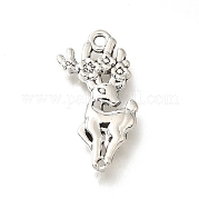 Сплавочные подвески тибетского стиля FIND-G078-01AS