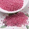 MIYUKI Delica Beads, Cylinder, Japanese Seed Beads, 11/0, (DB0075) Dark Coral Lined Crystal AB, 1.3x1.6mm, Hole: 0.8mm, about 2000pcs/10g