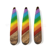 Подвески Pride на тему радуги из смолы и орехового дерева WOOD-K012-05A