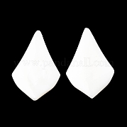 Натуральные пресноводные ракушки SHEL-K006-04
