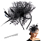 AHANDMAKER Fascinator Hat with Alligator Clip Women's Mesh Flower Fascinator Headwear with Headband, Hair Accessories Headwear for Cocktail Tea Party Church Funeral