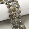 Natural Labradorite Beads Strands, Faceted Hexagonal Cut, Flat Round, with Seed Beads, 10~10.5x5.5~6mm, Hole: 1.2mm, about 28~29pcs/strand, 14.29~14.65''(36.3~37.2cm)