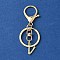 Alloy Initial Letter Charm Keychains, with Alloy Clasp, Golden, Letter V, 8.5cm
