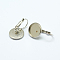 Tarnish Resistant 304 Stainless Steel Leverback Earring Settings, Flat Round, Stainless Steel Color, Tray: 12mm, 23~26x14x2mm, Pin: 1mm
