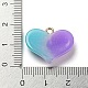 Подвески из смолы градиентного цвета FIND-Z010-01A-3