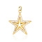 Brass Micro Pave Clear Cubic Zirconia Pendants, Cadmium Free & Nickel Free & Lead Free, Star Charms, Real 18K Gold Plated, 25x22x3.4mm