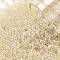 TOHO Round Seed Beads, Japanese Seed Beads, (147) Ceylon Light Ivory, 11/0, 2.2mm, Hole: 0.8mm, about 5555pcs/50g