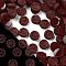 Luminous Resin Imitation Chocolate Decoden Cabochons, Glow in the Dark, Coconut Brown, Flat Round, 9x3mm