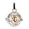 Rack Plating Brass Cage Pendants, Nickel Free, For Chime Ball Pendant Necklaces Making, Hollow Round with Om Symbol, Platinum & Golden, 26x25x20mm, Hole: 3x7mm, inner measure: 18mm