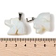 Opalite подвески G-B127-02P-08-4