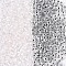 Iridescent Transparent Glass Seed Beads, Rondelle, Dark Gray, 4~5x3~4mm, Hole: 1~1.2mm, about 6428pcs/pound