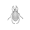 304 Stainless Steel Insect Pendants, Beetle Charm, Stainless Steel Color, 31x27mm