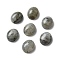 Natural Labradorite Cabochons, Oval, 12x10x4.5mm