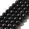 Natural Hypersthene Beads Strands, Round, 10mm, about 38pcs/strand